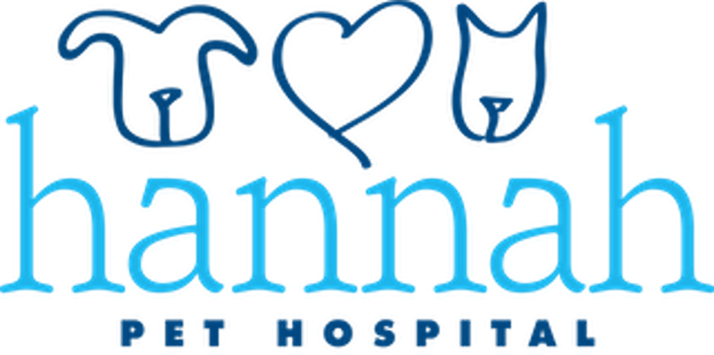 Hannah Pet Hospital