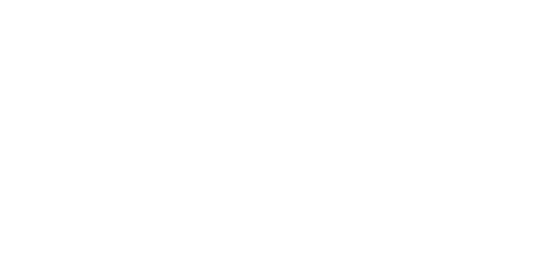 Hannah Pet Hospital logo